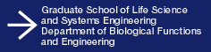 Graduate School of Life Science and Systems EngineeringDepartment of Biological Functions and Engineering