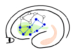 説明: 説明: C:\Users\natume\Documents\ブレインサイエンス研究会\BS研究会HP\brainsci.gif