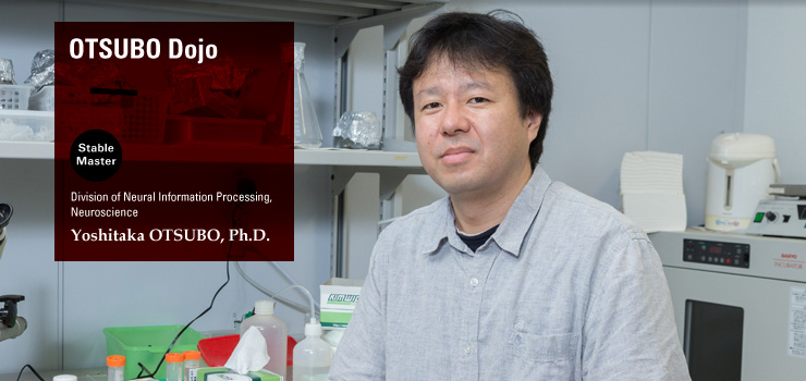 OTSUBO Dojo: Division of Neural Information Processing, Neuroscience Yoshitaka OTSUBO, Ph.D.