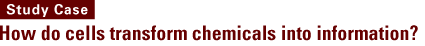 (Study Case) How do cells transform chemicals into information?
