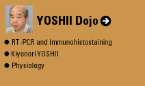 YOSHII Dojo